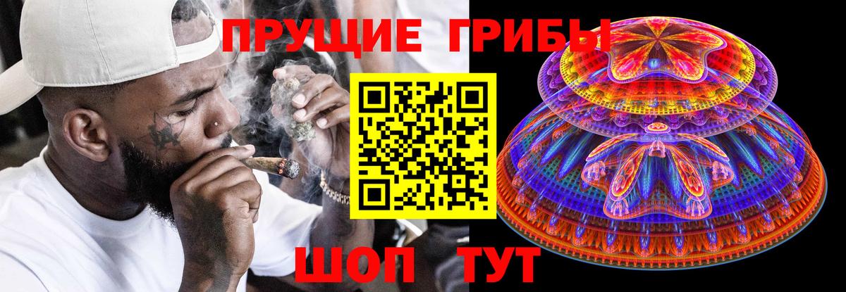 Псилоцибиновые грибы мицелий  Вход с VPN  Канаш 