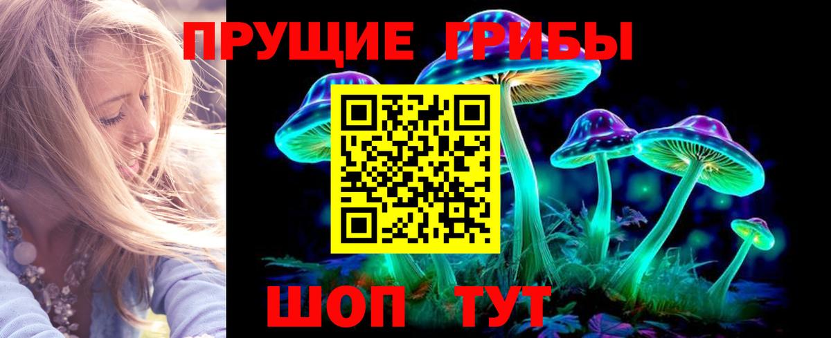 Псилоцибиновые грибы Psilocybe Канаш